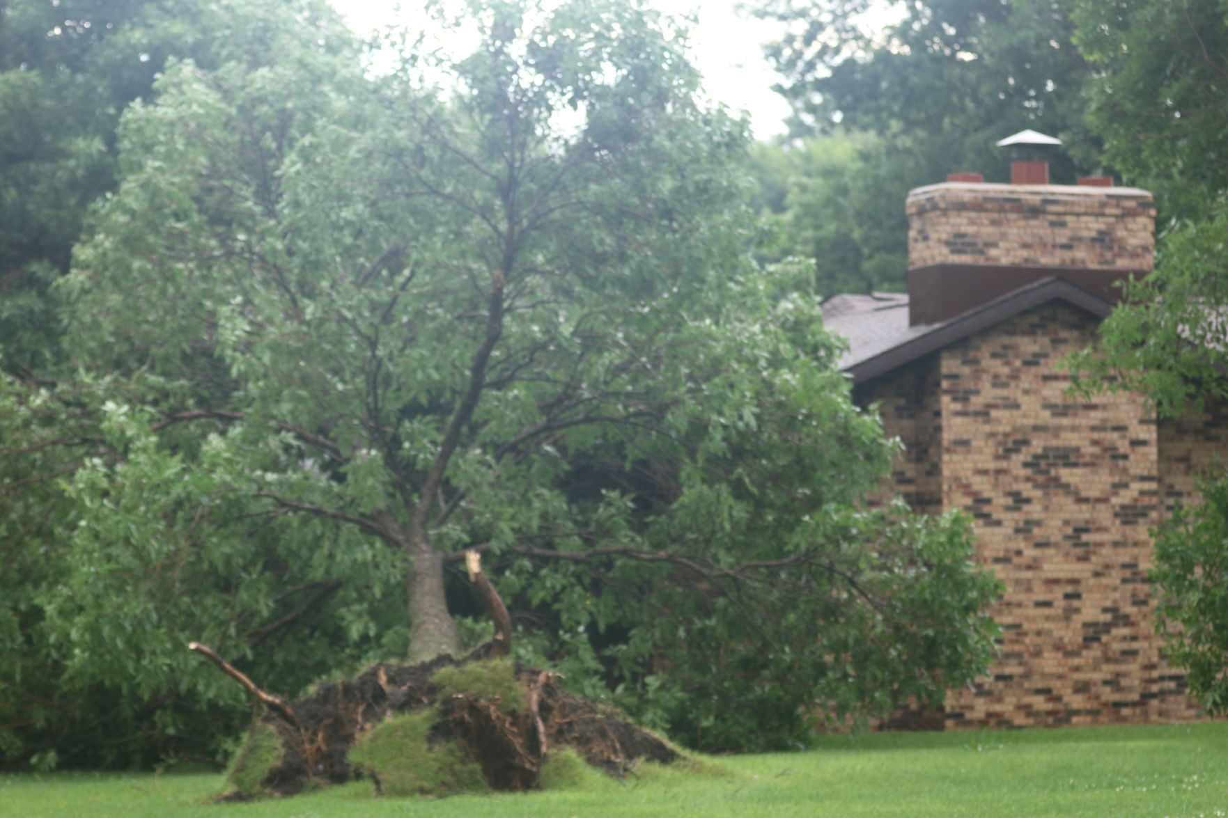 RiverOaks_5831.JPG